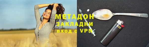 гидра Алексин
