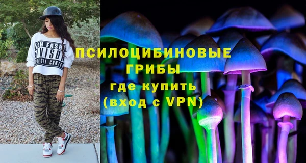 гидра Алексин