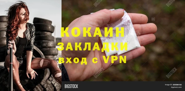 гидра Алексин