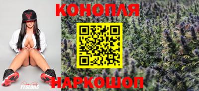 СК Новокубанск