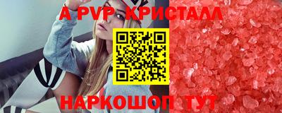 СК Новокубанск