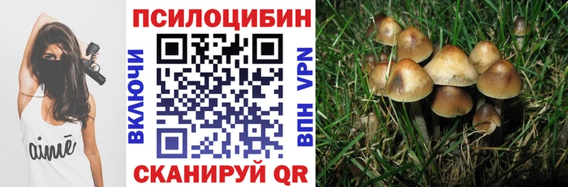 Галлюциногенные грибы мицелий  купить наркоту  Невинномысск 
